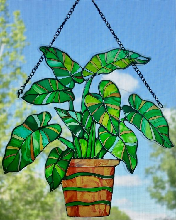 Tropical Houseplant Sun Hanging