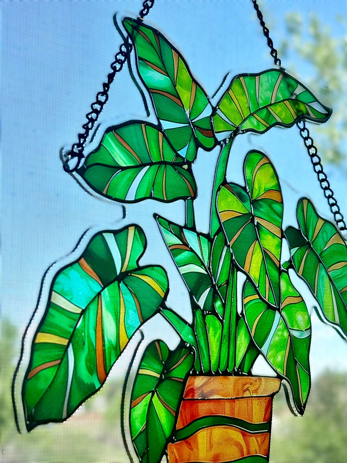 Tropical Houseplant Sun Hanging