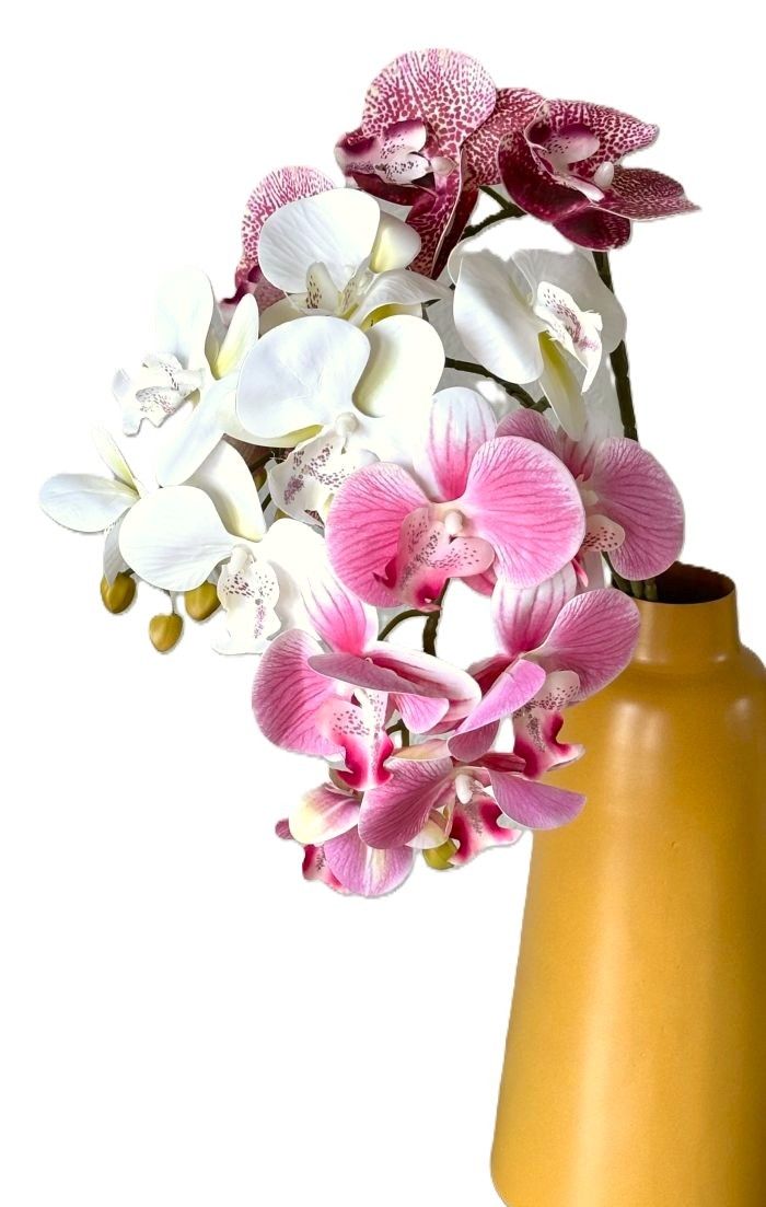 Phalaenopsis Orchid Stems (3 Colors)
