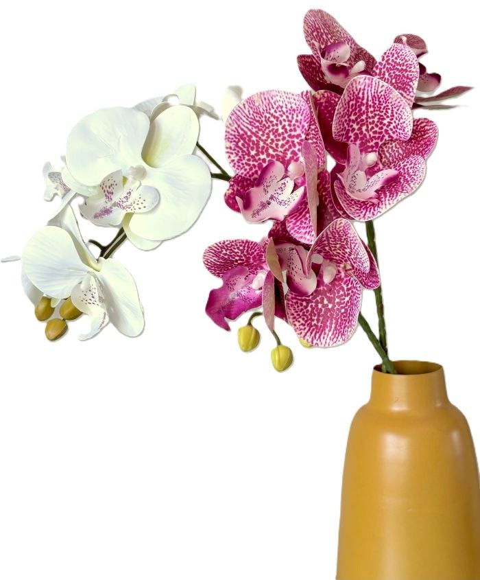 Phalaenopsis Orchid Stems (3 Colors)
