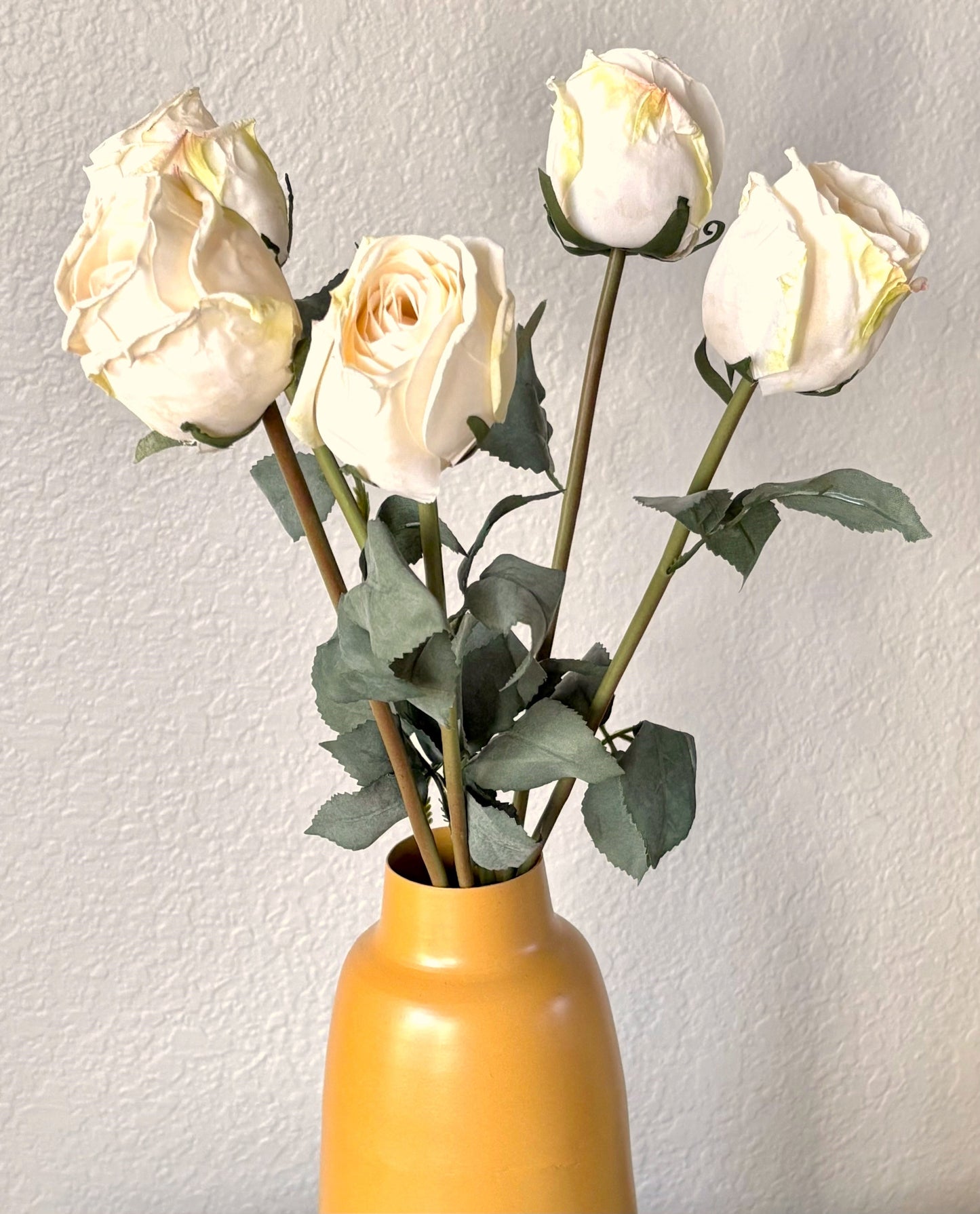 5 Long-Stem Roses (3 colors)