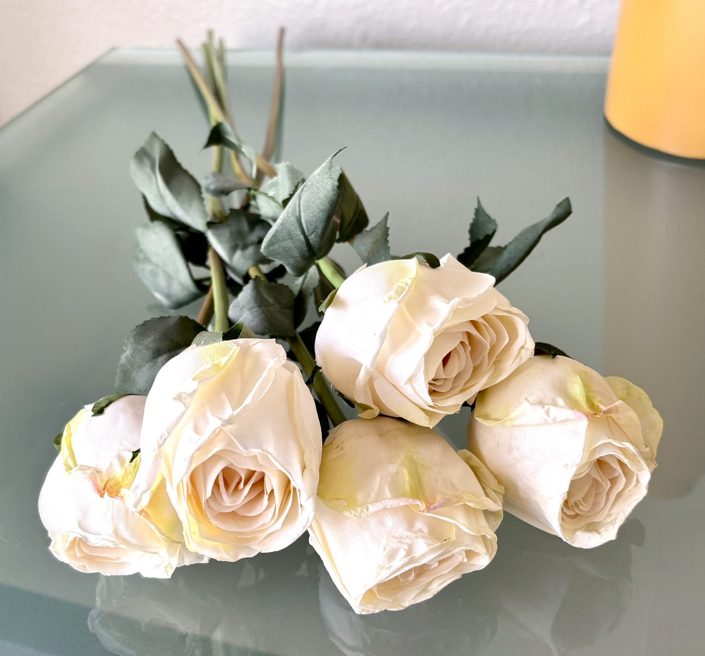5 Long-Stem Roses (3 colors)