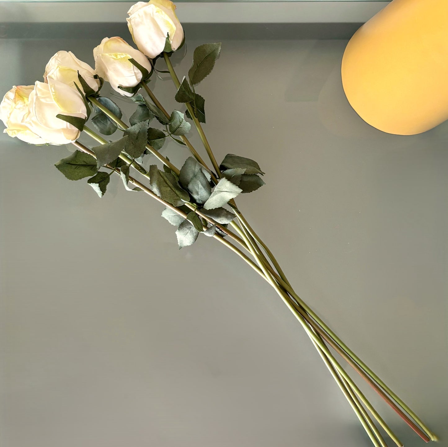 5 Long-Stem Roses (3 colors)