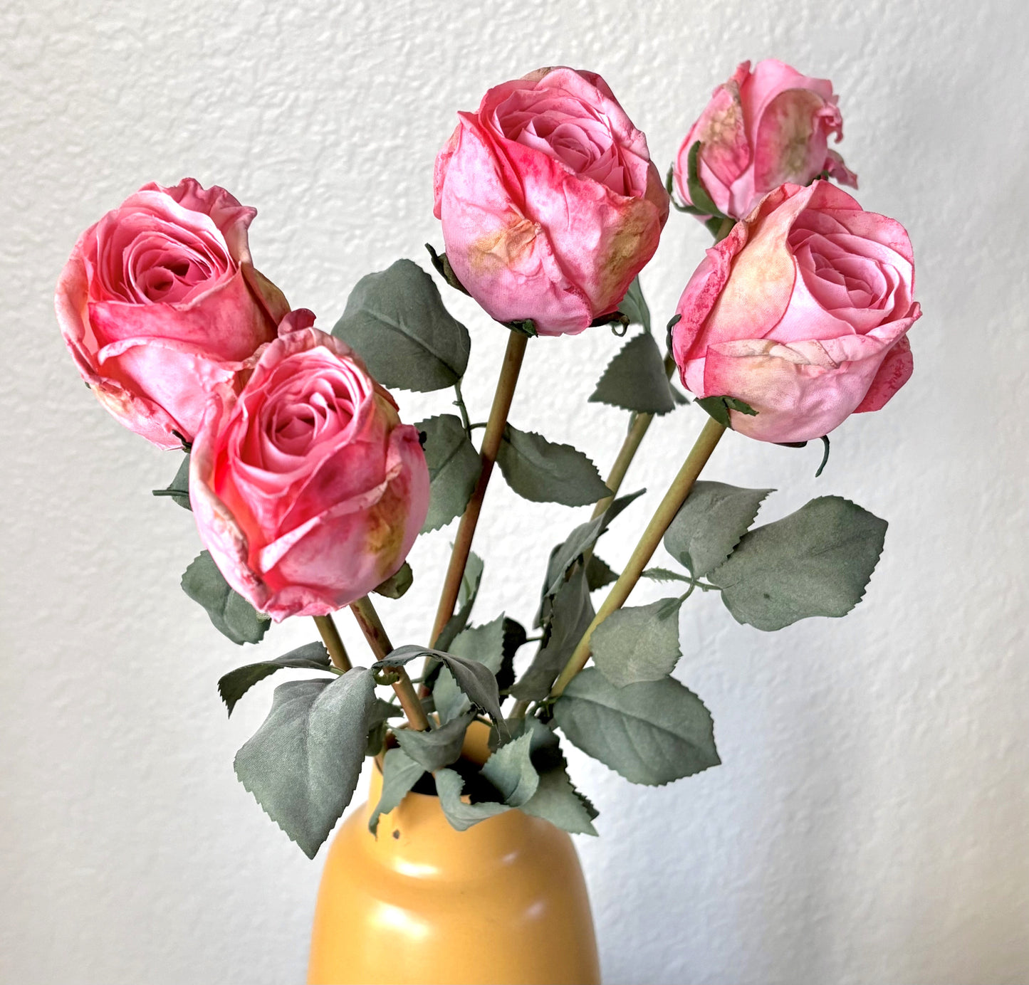 5 Long-Stem Roses (3 colors)