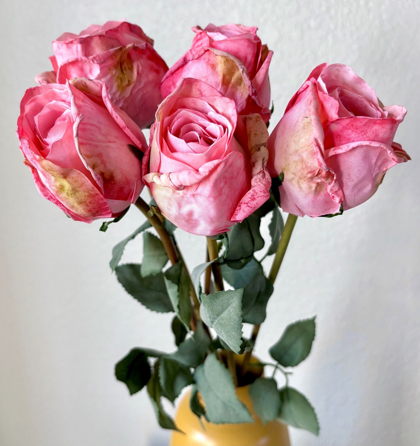 5 Long-Stem Roses (3 colors)