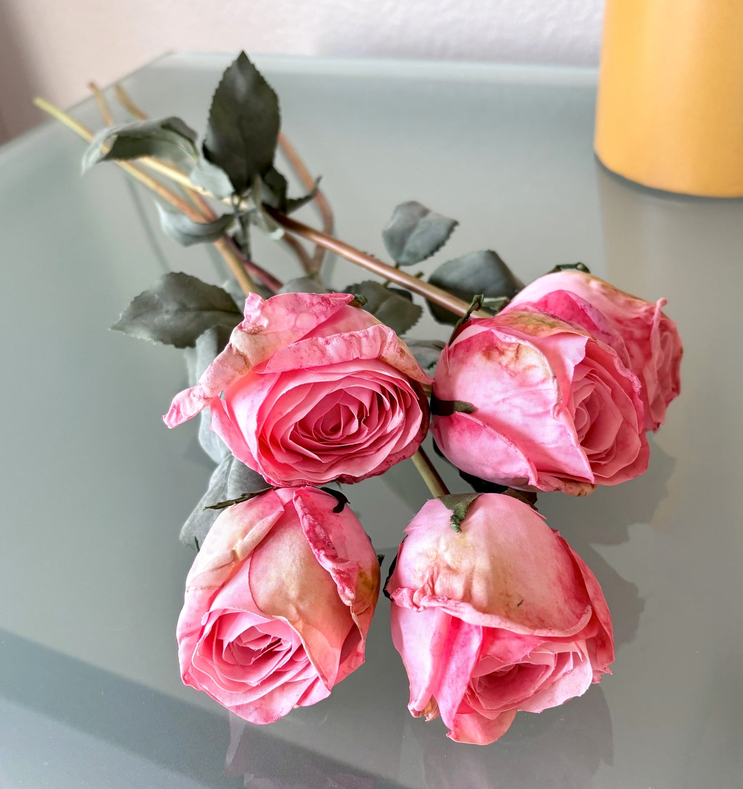 5 Long-Stem Roses (3 colors)