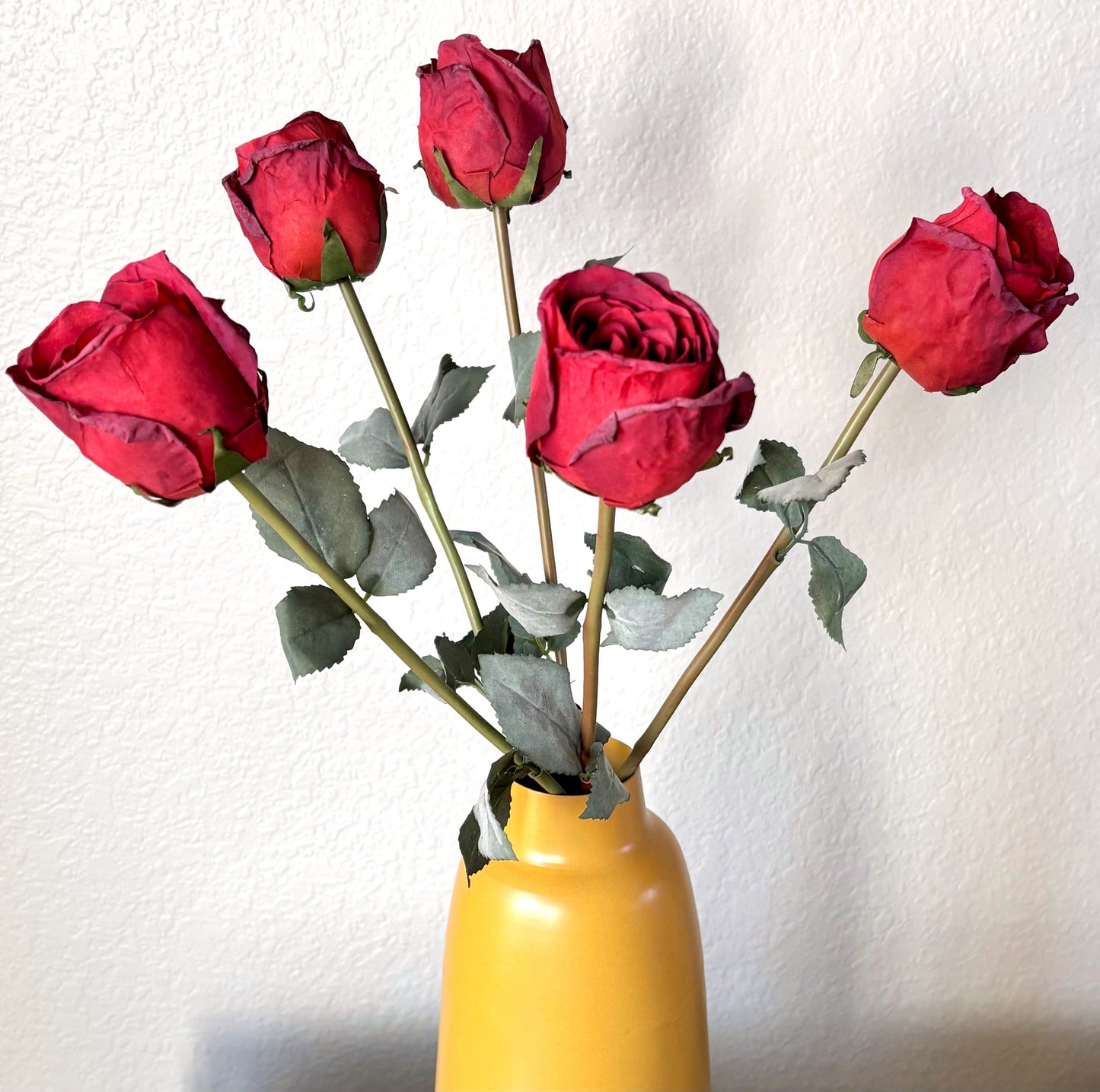 5 Long-Stem Roses (3 colors)