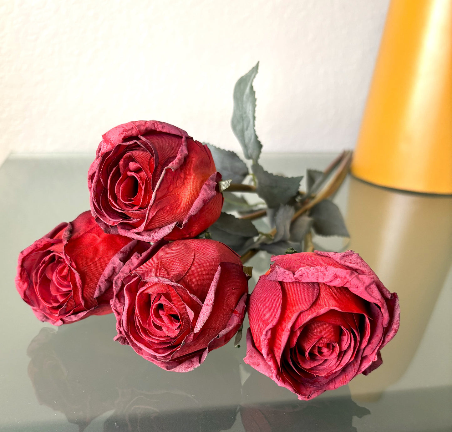 5 Long-Stem Roses (3 colors)