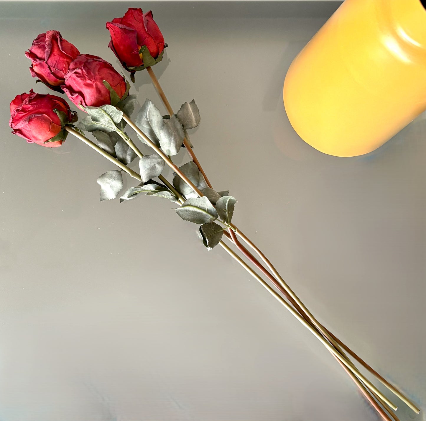 5 Long-Stem Roses (3 colors)