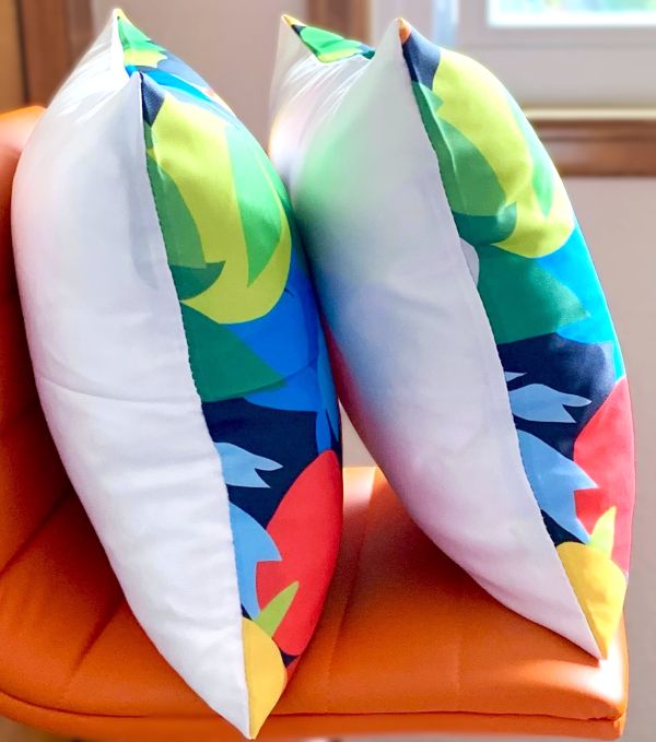 Set/2 Macaw Parrot Outdoor Pillow Covers
