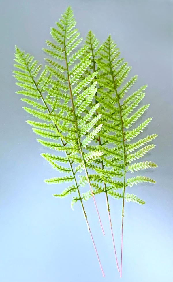 Set/4 Artificial Lacey Fern Fronds