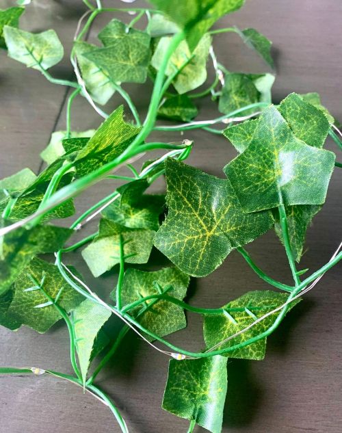 6.5' Green Ivy LED String Lighting