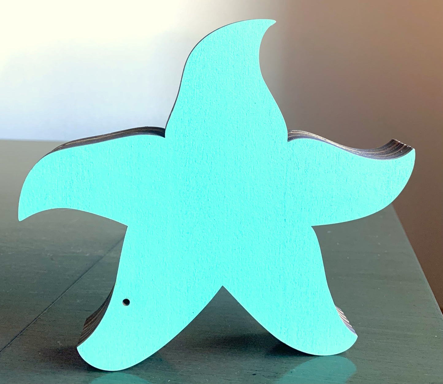 Teal and Orange Starfish Wood Diorama