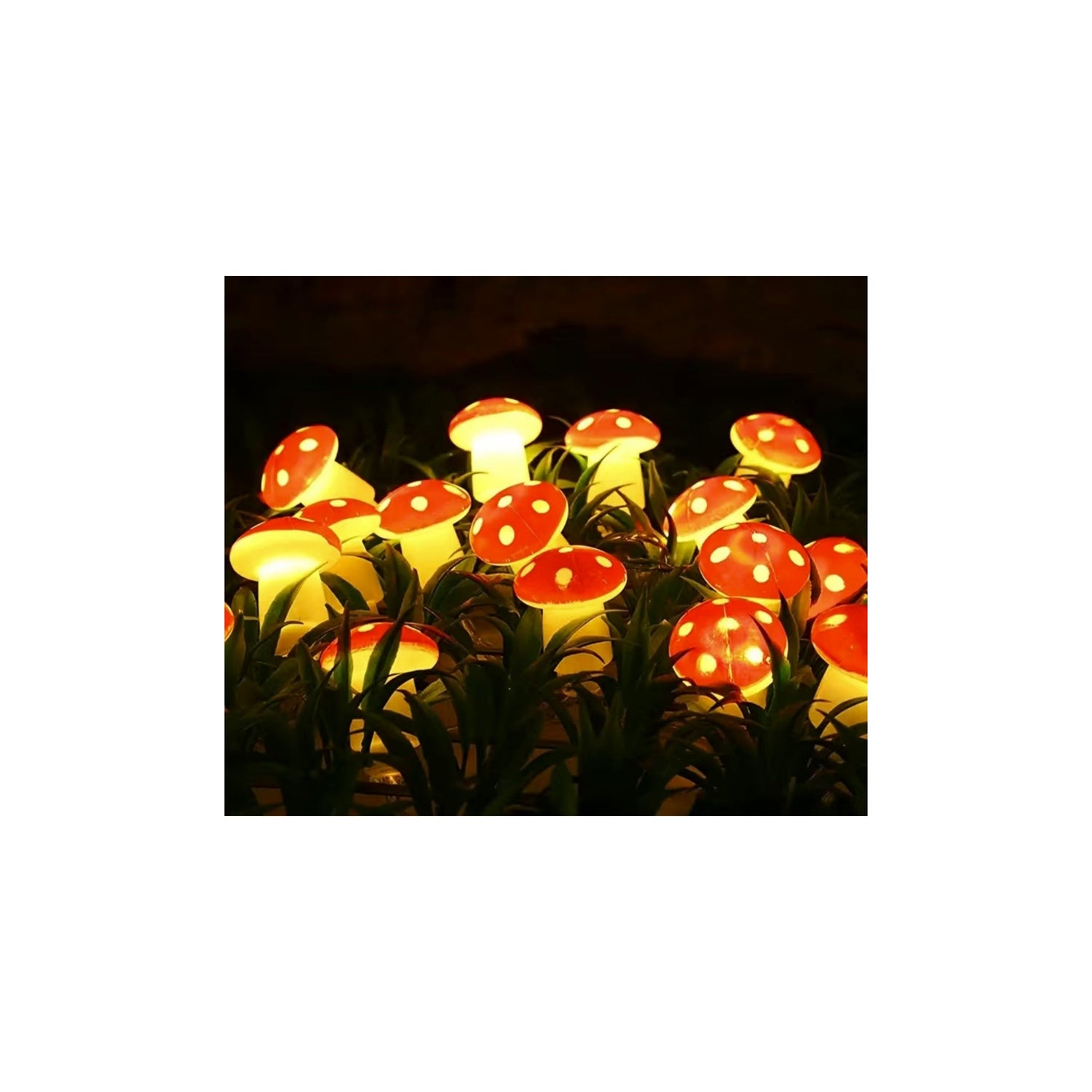 Novelty Lighting