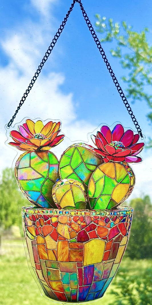 Flowering Cactus in Pot Sun Hanging