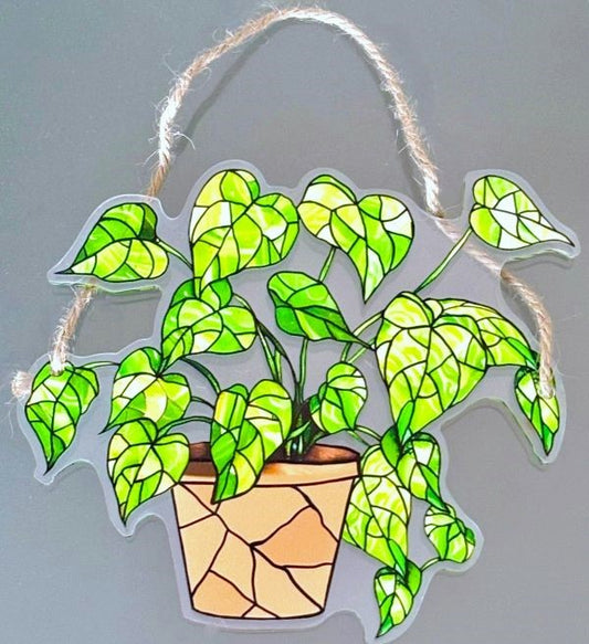 Potted Houseplant Sun Hanging