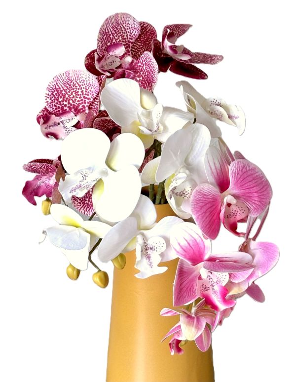 Phalaenopsis Orchid Stems (3 Colors)