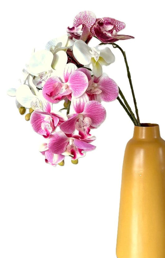 Phalaenopsis Orchid Stems (3 Colors)