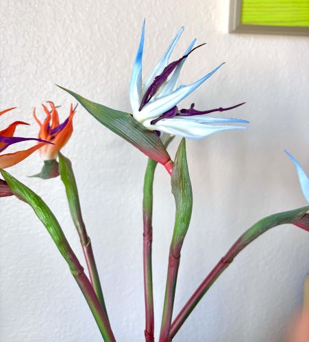 22" Bird of Paradise Stem (3 Colors)
