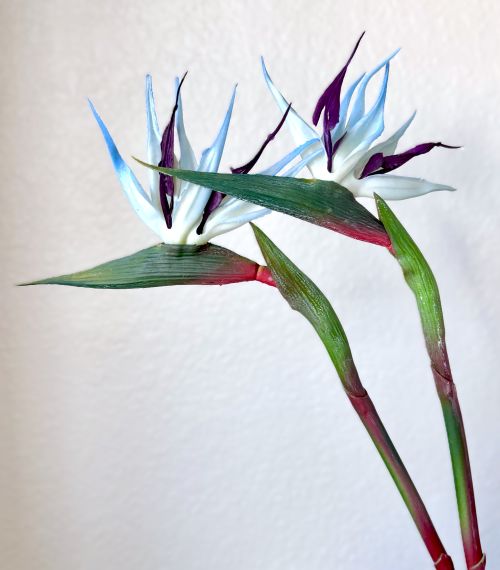 22" Bird of Paradise Stem (3 Colors)