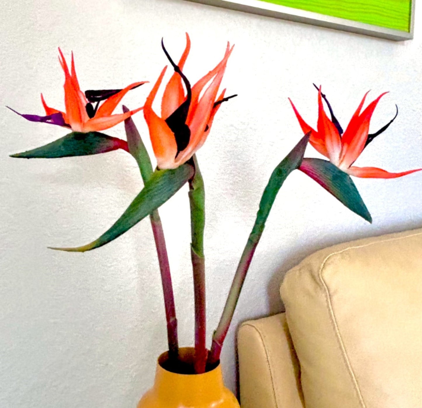 22" Bird of Paradise Stem (3 Colors)