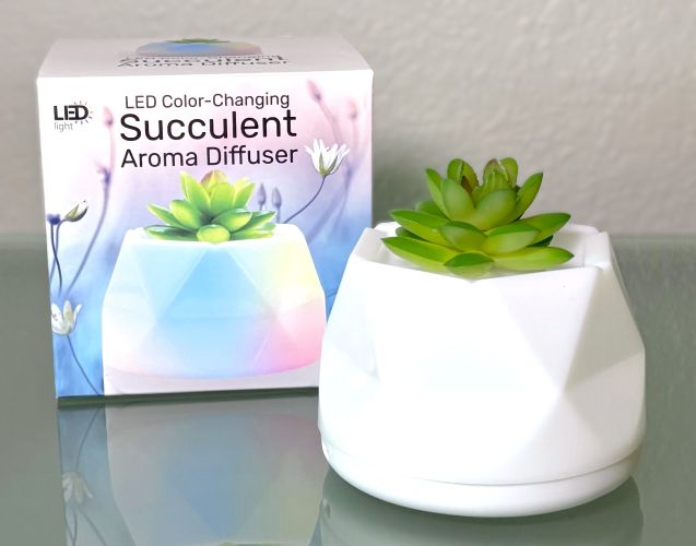 succulent plant diffuser LED Color-Changing Succulent Aroma Diffuser
