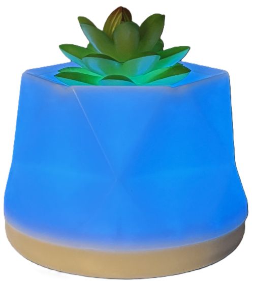succulent oil diffuser LED Color-Changing Succulent Aroma Diffuser