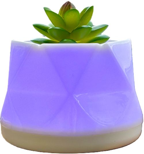 LED Color-Changing Succulent Aroma Diffuser