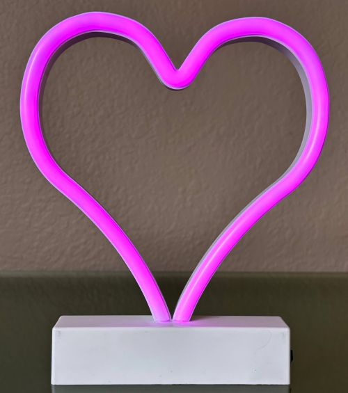 Shaped Neon LED Light (3 Styles)