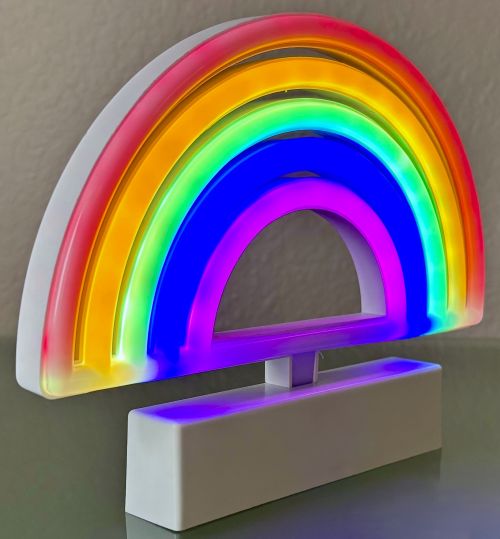 Shaped Neon LED Light (3 Styles)