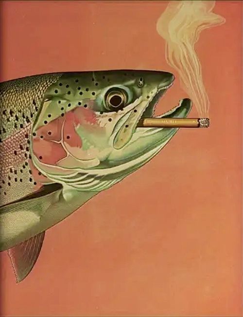 Rainbow Trout Smoking Cigar Art Print