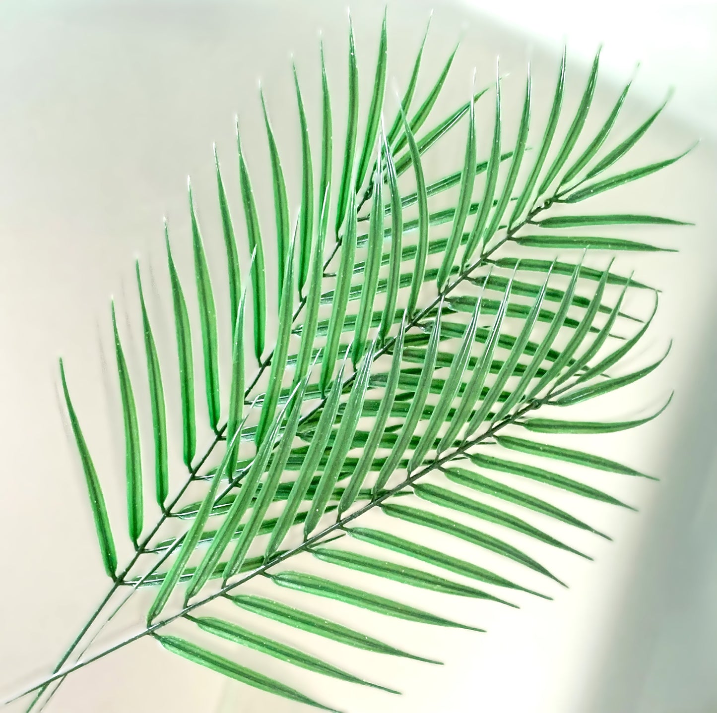 Set/3 19”L Tropical Palm Fronds