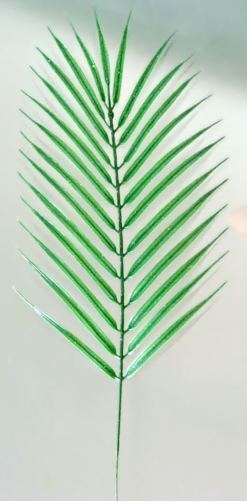 Set/3 19”L Tropical Palm Fronds
